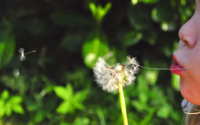 here and now is all I have