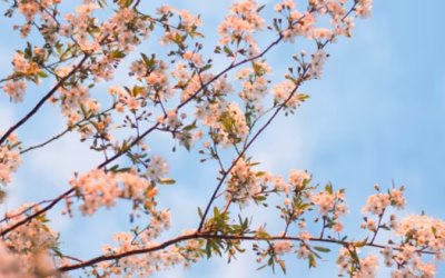 keeping the good things